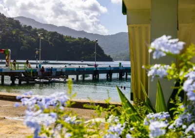 The Man of War Bay jetty seen through the floral garden at The Cholson Chalets