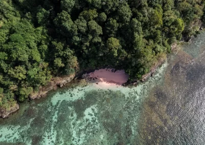 Aerial view of a pink sand beach in Charlotteville, Tobago